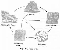 Pin On Extra Questions For Class 7 Social Science Geography