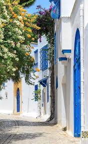 Hotels, apartments, villas, hostels, resorts, b&bs Blue And White Street In The Small Town Of Sidi Bou Said Tunisia Vertical Tunisia Sidi Bou Said Pretty Places