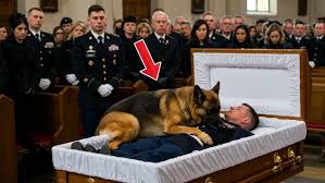 Christian Bautista Family ☆ Family Of Christian Bautista