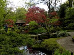 japanse tuin clingendael japanse tuin tuin japan