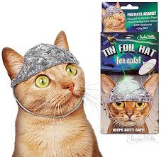 The team is aware of this and are looking to resolve this as soon as possible. Accoutrements Archie Mcphee Stanniol Hute Fur Verschworungs Katzen Andere Amazon De Haustier