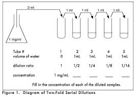 Bisc110 F10 Series 1 Lab 3 Dilutions Tetrahymena