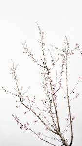 The Perfect Set Of Wallpapers For Your New Iphone Xr Preppy Wallpapers Cherry Blossom Wallpaper Minimal Wallpaper Aesthetic Wallpapers Iphone xr wallpaper aesthetic white title. wallpapers for your new iphone xr