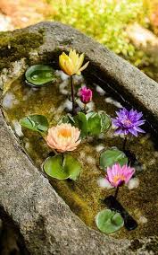 Pin By Fallen Magelet On Genesis Rosaria Hagen Of Angeles The King And Queen Of Ghosts A Selection Syoc Water Garden Japanese Garden Garden Inspiration