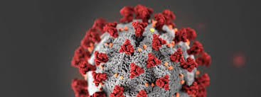 See where case counts are falling the most. Covid 19 Novel Coronavirus Content Free To Access Taylor Francis