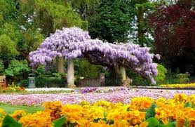 Resultado de imagem para Jardim do Paraiso