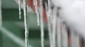 Born november 11, 1950) is a romanian poet, journalist, and editor. Sotia Lui Mircea Dinescu Lovita N Cap De Un Turtur A Ajuns La Spital Mobile