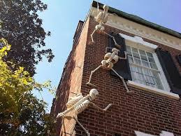 Everything Holiday Halloween Outdoor Decorations Halloween Yard Decorations Halloween Skeleton Decorations