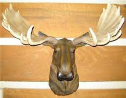 Adore 13 yukon the moose plush stuffed animal walltoy wall mount: Moose Head Large Wall Mount Lodge Cabin Log Taxidermy 59 99 Picclick