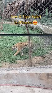 Borivali National Park Safari Options