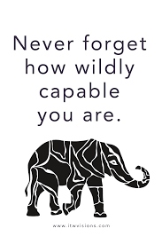 A great memorable quote from the ed, edd, 'n eddy, season 4 show on quotes.net. Never Forget How Wildly Capable You Are Motivational Quote With An Elephant Minimalist Design Words Of Elephant Quotes Words Of Wisdom Quotes Wisdom Quotes