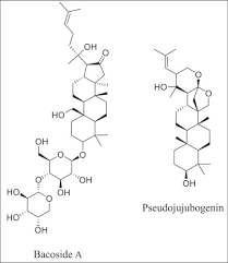 Image result for Bacopa monnieri