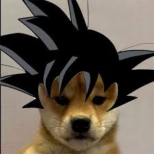 Dogwifhat Dog Icon Anime Animals Anime Meme Face