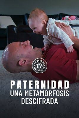 Documentos TV - Paternidad, una metamorfosis descifrada