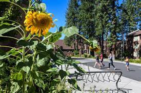 Whitworth Gonzaga Presidents Say Campus Reopenings Are Delicate Balancing Act The Spokesman Review