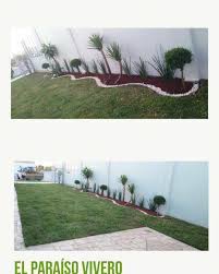 Vivero El Paraiso Los Mochis Sinaloa Mexico Local Business Facebook