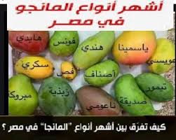 ازاى تفرق بين انواع المانجو الدليل الشامل للتفريق بين أنواع المانجا أشهر أنواع المانجو Fruit Watermelon Mango