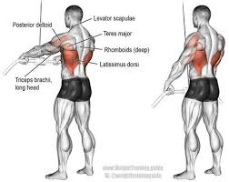 Cable Straight Arm Pull Down Exercise Instructions And Video Weight Training Guide Workout Guide Good Back Workouts Cable Workout