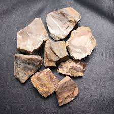 Petrified Wood Stones Size 18mm To 26mms Weight 50 Grams That S The Total Weight Of All 7 Stones You Wil Petrified Wood Wood Stone Raw Gemstones Rocks