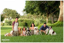Welcome to urban dog photography, a 100% pet dedicated studio based in greenville, sc. 3 Reasons To Choose A Pet Photographer For Your Family Photos This Fall Angie Kerins Photography