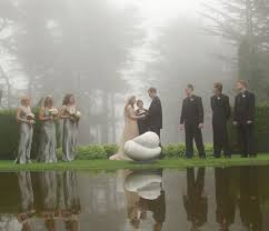 Maybe you would like to learn more about one of these? Your Wedding At Larnach Castle Dunedin