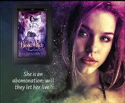 Introduction to Blood Wing Hunter Series