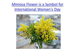 The tradition began in 1946 when feminists in italy chose the mimosa as a rival flower to the traditional red rose of valentine's day. Women S Day How To Send Flowers On Women S Day Mimosa Flower Is A Symbol For International Women S Day Ppt Download
