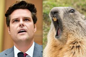 With bill murray, andie macdowell, chris elliott, stephen tobolowsky. Matt Gaetz Guide To Acing Your Sexual Misconduct Quiz
