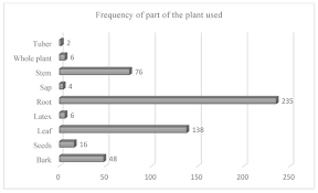 Image result for Cynanchum mossambicense