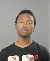 ᐅ Illinois Criminal Records 2009-2025