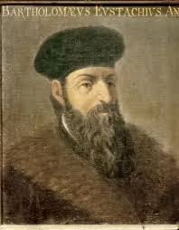 Anatomist Collection of Photo Prints and Gifts