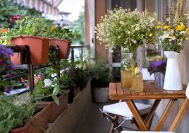Ikatkan pada bagian pagar balkon rumah atau apartemen kamu. Tips Menyulap Balkon Rumah Anda Menjadi Taman Cantik Minimalis