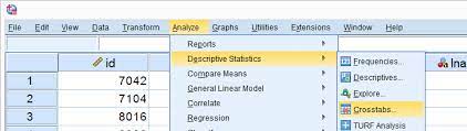Spss Chi Square Independence Test Beginners Tutorial