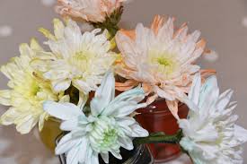 Experiment with rainbow colored flowers & celery. Transpiration Experiment Colour Changing Flowers
