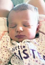 Ozark County Historium