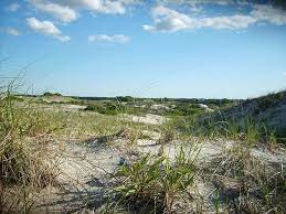 Maybe you would like to learn more about one of these? Hd Wallpaper Sand Dunes At Cape Cod Massachusetts Photos Grass Landscape Wallpaper Flare