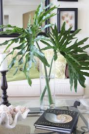 Soft lightweight material, comfortable touch for durable use and reusable, our monstera palm leaves look like real green leaves, as if they came from a tree in the mediterranean, their color will absolutely impress you. The Cottage Tropical Home Decor Beach House Decor Simple Decor