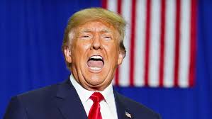 Don Winslow über Donald Trump: "Einfach ekelhaft"