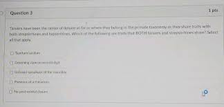 The Skull (Chapter 4) - Skeletal Anatomy Of The Newborn Primate