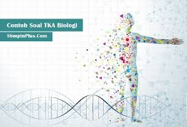 Check spelling or type a new query. Contoh Soal Tka Saintek Biologi Dan Jawaban 2019 2020