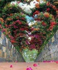 In 2020 Beautiful Flowers Garden Hydroponic Gardening System Country Gardening