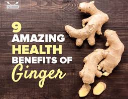 Ginger is a very popular spice that is used widely in cooking and can be processed in a variety of ways. 9 Amazing Health Benefits Of Ginger Paleohacks Blog
