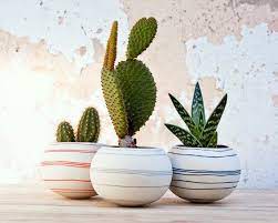 Neil but samaira is trying to change drivers' behaviour, and after much effort, even got the police to run a campaign. Ceramic Cactus Planter Orange Stripes Porcelain Mini Etsy Plants Plant Crafts Cactus Planter