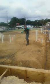 Certifications:florida pest management association, certified pest control operator, bbb. Accurate Pest Management Termite Pest Control
