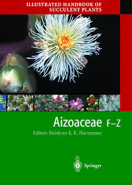 Image result for Aizoaceae