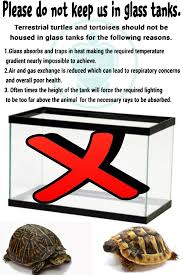 Glass Tanks Should Not Be Used With Tortoises Or Terrestrial Turtles Turtle Care Tortoises Tortoise Tank