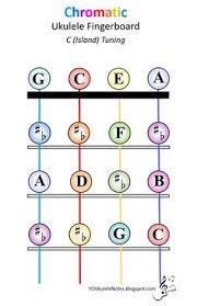2:20understanding your floyd rose tremolo: Ukulele Teaching
