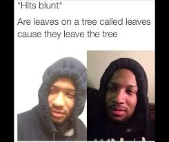 Find and save hits blunt questions memes | from instagram, facebook, tumblr, twitter & more. Hit Blunt Memes