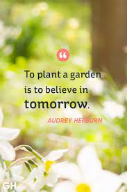 Pin On Inspirational Quotes