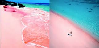 Dit eiland bezochten we tijdens onze boottocht. The Pink Beach Of Italy Spiaggia Rosa Budelli This Is Italy